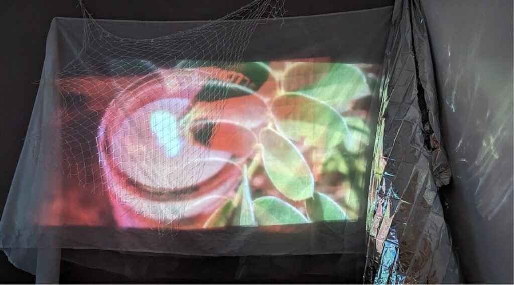 PERCEPTION Prototype (2024)